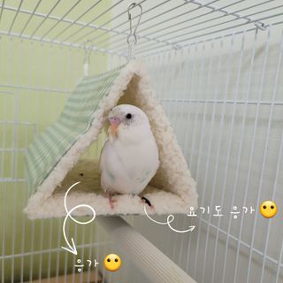 함냥님이 올린 리뷰 사진 2