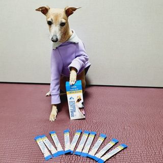 씨디랩 장 건강과 구강 건강을 한 번에 더블락토 강아지 고양이 유산균 — 5점을 준 리뷰어가 2021년 1월 올린 사용 사진