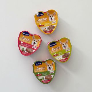 비타크래프트 조에시 하트캔 85g 강아지 습식캔 10캔 — 5점을 준 리뷰어가 2021년 7월 올린 사용 사진