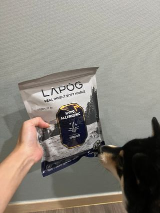 [푸디웜] 라포그 리얼인섹트 소프트키블 스킨 1KG — 5점을 준 리뷰어가 2022년 10월 올린 사용 사진
