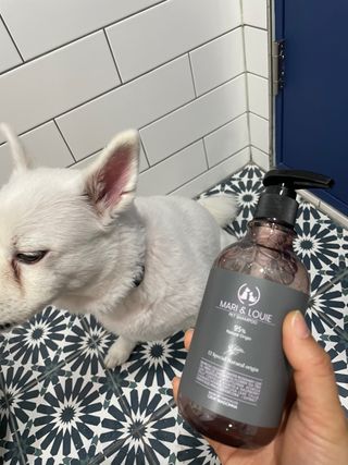 마리앤루이펫샴푸 [mari and louie pet shampoo] — 4.5점을 준 리뷰어가 2021년 6월 올린 사용 사진