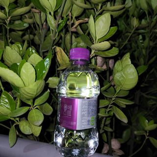 몽베스트 [MONTBEST] 330mL 20병 — 4.5점을 준 리뷰어가 2022년 4월 올린 사용 사진