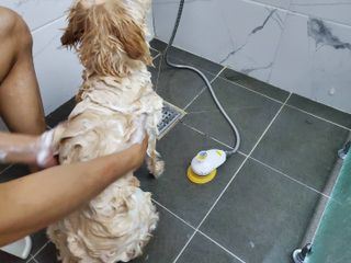 마리앤루이펫샴푸 [mari and louie pet shampoo] — 5점을 준 리뷰어가 2021년 6월 올린 사용 사진