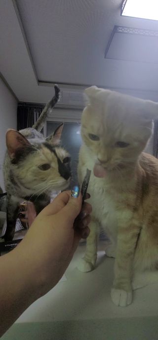 이째님이 올린 리뷰 사진 3