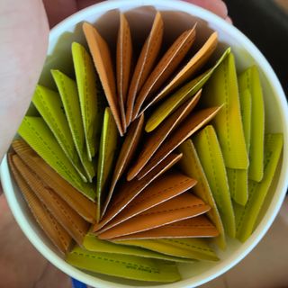 페페로니 맛있는 스틱 - 무항생제 닭고기 15개 + 원양선 참치 15개 — 5점을 준 리뷰어가 2021년 8월 올린 사용 사진