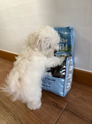 냥냥이님이 올린 리뷰 사진 1