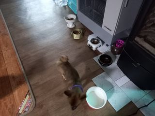 루비셀러님이 올린 리뷰 사진 4