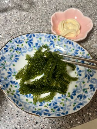 [피터씨마켓] 바다포도 100g(20g x 5봉) 우미부도 그린캐비어 ASMR 소분포장 — 5점을 준 리뷰어가 2024년 8월 올린 사용 사진