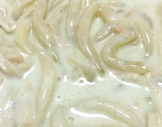[푸딩팩토리] 로제누들떡볶이 500g / 까르보나라크림누들떡볶이 500g — 5점을 준 리뷰어가 2022년 8월 올린 사용 사진