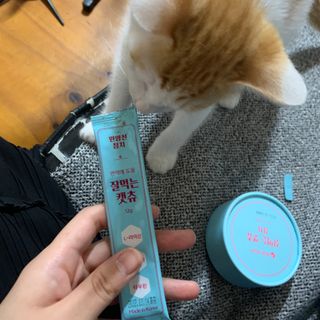 페페로니 잘 먹는 캣츄 - 원양선 참치 24개입 — 4.5점을 준 리뷰어가 2021년 7월 올린 사용 사진