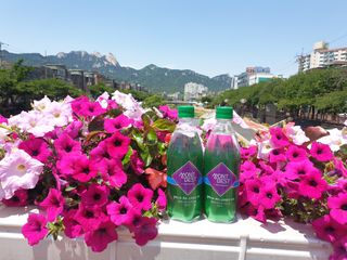 몽베스트 Montbest with Sparkling water Plain 20병 — 4점을 준 리뷰어가 2022년 6월 올린 사용 사진
