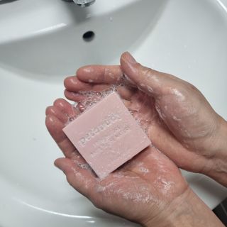 소담스퀘어 상암 주식회사 에코스터프 펫버디 반려동물 마누카 검은콩 프로틴 샴푸바 — 5점을 준 리뷰어가 2022년 12월 올린 사용 사진