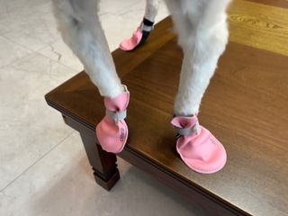 짱채맘님이 올린 리뷰 사진 4