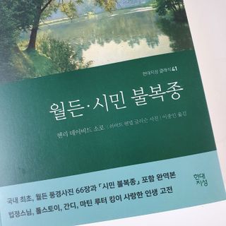 김도영님이 올린 리뷰 사진 1
