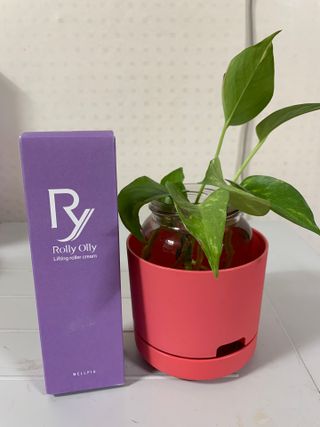 이혜승님이 올린 리뷰 사진 3