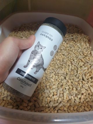 인구리님이 올린 리뷰 사진 3