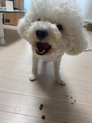 zx쏘프로님이 올린 리뷰 사진 4