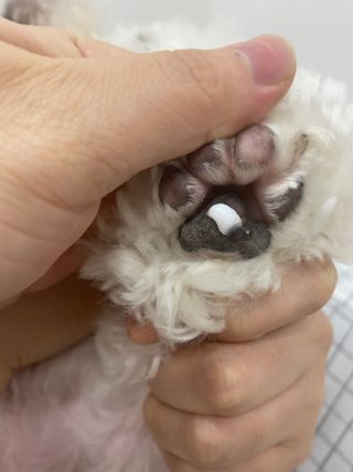 동동이님이 올린 리뷰 사진 3