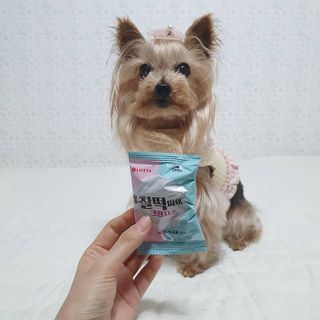 솜희님이 올린 리뷰 사진 3