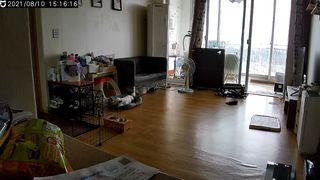 디앙뜨 포르투갈 에그타르트 오리지널 맛+패션후르츠 맛 중 택1 — 5점을 준 리뷰어가 2021년 8월 올린 사용 사진