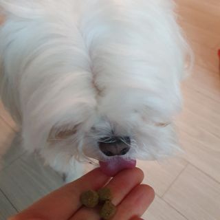 hosu.1230님이 올린 리뷰 사진 4