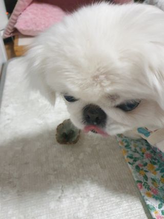 페키아름님이 올린 리뷰 사진 2