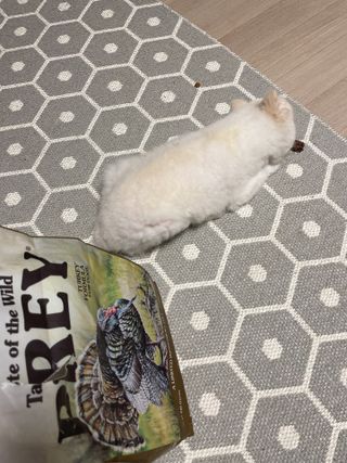 신상언니님이 올린 리뷰 사진 4