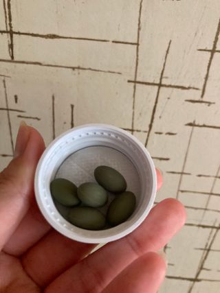 이상한아이디님이 올린 리뷰 사진 2