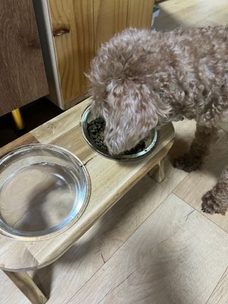 행복나무님이 올린 리뷰 사진 2