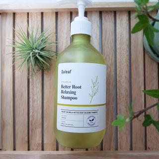 달리프 클로렐라 베러 루트 릴렉싱 샴푸 500ml — 5점을 준 리뷰어가 2021년 5월 올린 사용 사진