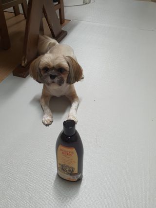 뽀미아빠님이 올린 리뷰 사진 2
