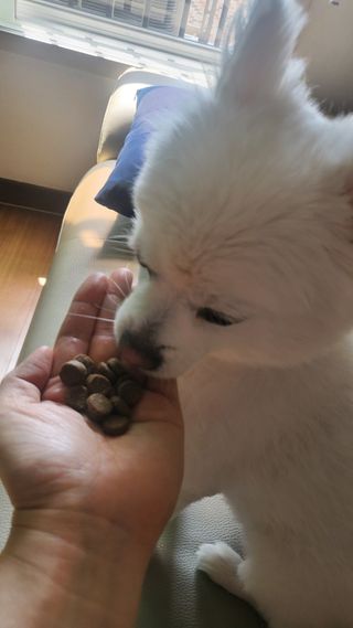 이쁜골룸님이 올린 리뷰 사진 2