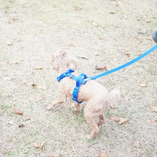 윤디캔디님이 올린 리뷰 사진 3