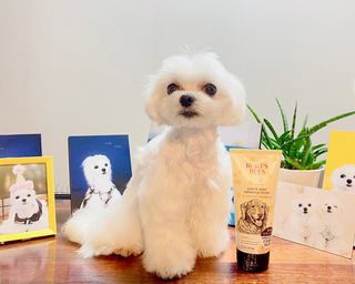 버츠비 케어플러스 릴리빙포앤노즈로션 — 5점을 준 리뷰어가 2021년 4월 올린 사용 사진