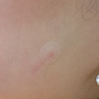 오너굴님이 올린 리뷰 사진 4