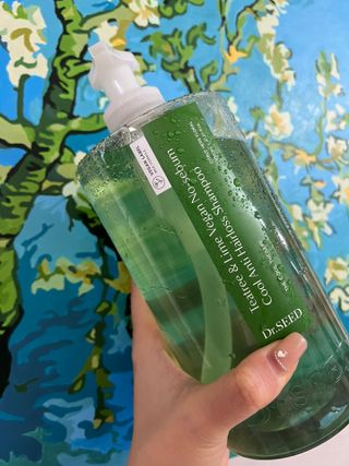 닥터시드 티트리 앤 라임 비건 지성케어 쿨 탈모 샴푸 (1000ml) — 5점을 준 리뷰어가 2023년 12월 올린 사용 사진