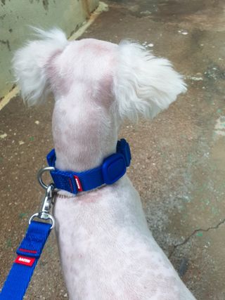 미진냥님이 올린 리뷰 사진 2