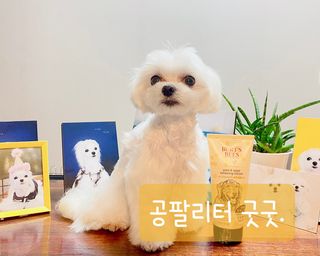 0.8L 마케팅팀 - — 4점을 준 리뷰어가 2021년 5월 올린 사용 사진