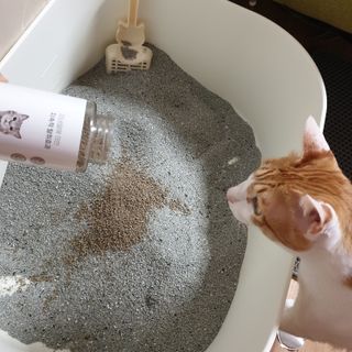 지츄님이 올린 리뷰 사진 1