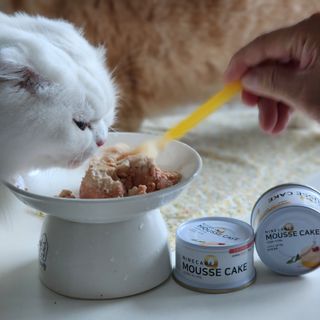 쭌뭉님이 올린 리뷰 사진 3