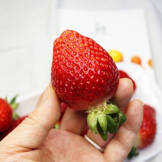 볼매마녀님이 올린 리뷰 사진 3