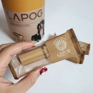 환희님이 올린 리뷰 사진 2