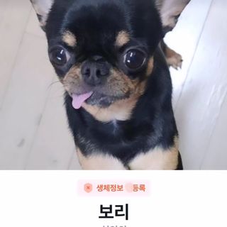 푸둘님이 올린 리뷰 사진 4