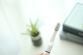 털털미녀님이 올린 리뷰 사진 2