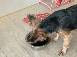 kkyubebe님이 올린 리뷰 사진 4