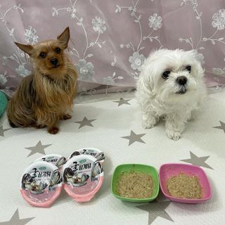 똥지님이 올린 리뷰 사진 2