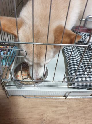 5냥2멍님이 올린 리뷰 사진 3