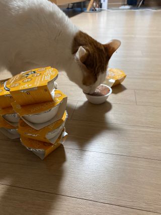 yooon❤️님이 올린 리뷰 사진 2