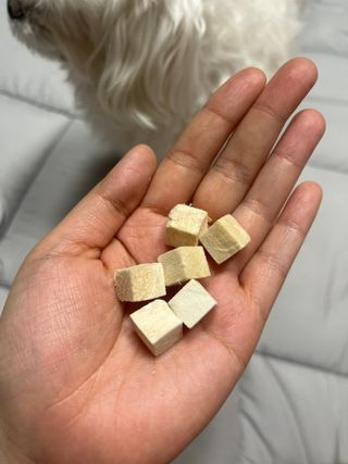 [펫시밀] 원물그대로 영양듬뿍 진공동결건조 북어트릿75g,치킨트릿100g,연어트릿75g 강아지 고양이 간식 — 5점을 준 리뷰어가 2023년 5월 올린 사용 사진