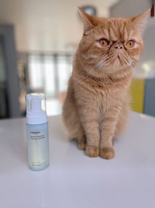 딸기우유님이 올린 리뷰 사진 3